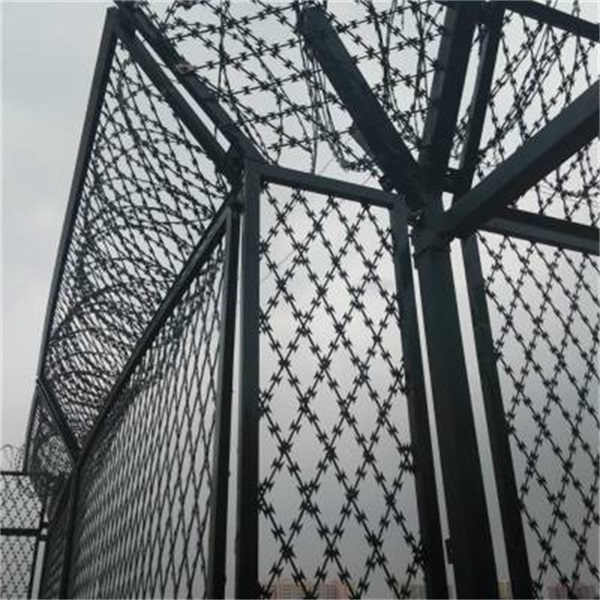 监狱巡逻道防攀爬隔离网简介 - 安平县艾瑞金属丝网有限公司图片4