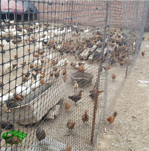 双向拉伸塑料土工格栅的应用领域 - 安平县艾瑞金属丝网有限公司图片2