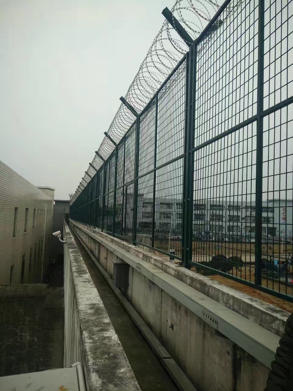 监狱巡逻道防攀爬隔离网 - 安平县艾瑞金属丝网有限公司图片2